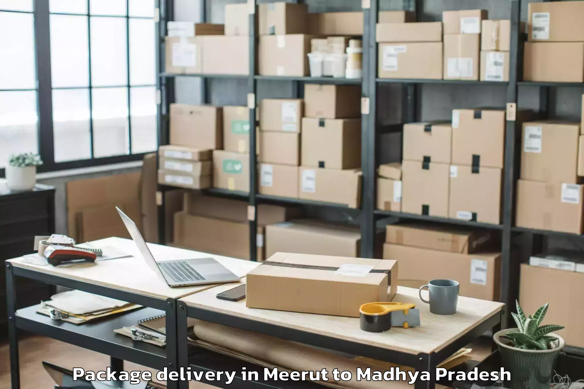 Expert Meerut to Bijawar Package Delivery